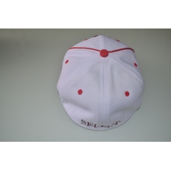 High Quality Cotton White 3D Embroidered Logo Sports Hat Baseball Cap